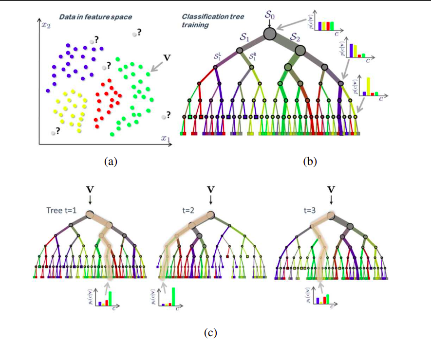 Diagrama de árvores de decisão e florestas: (a) amostras de treino coloridas por classe; (b) uma única árvore com a distribuição de classes em cada nó, da raiz às folhas; (c) um ensemble de três árvores cujas distribuições nas folhas são promediadas.